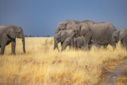 Namibia_August (120/135)